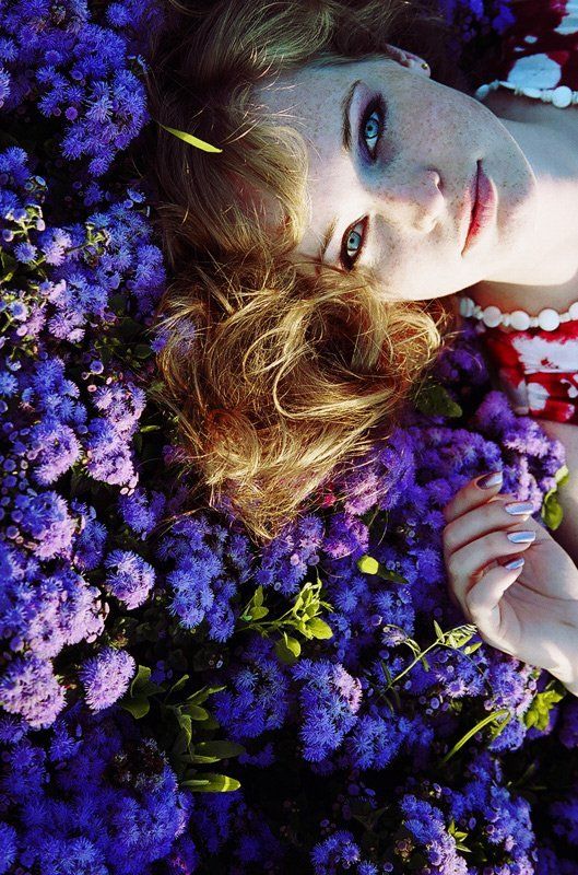 fiolet фото превью