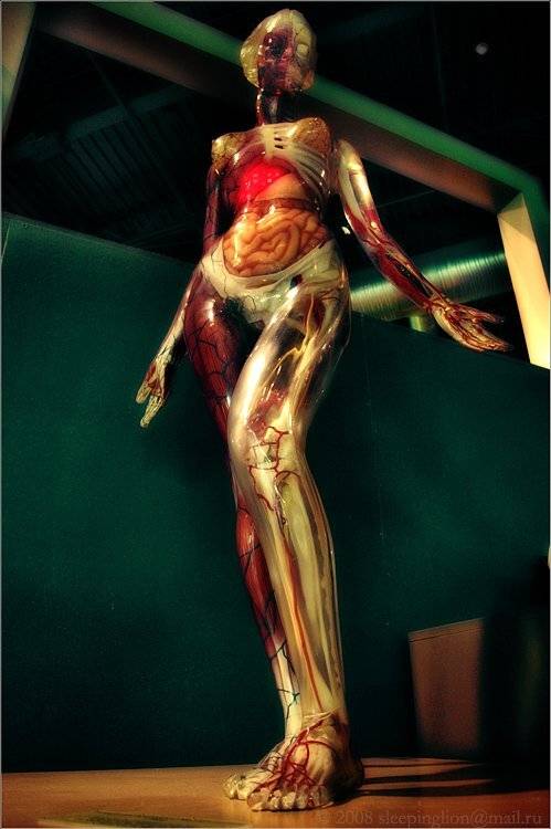 pilgrim, жанр, Pilgrim