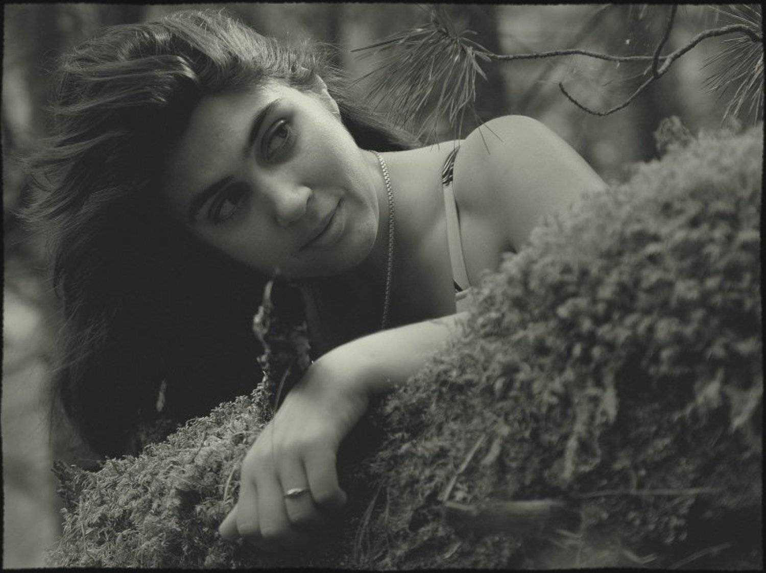 кантегир саяны, Eland