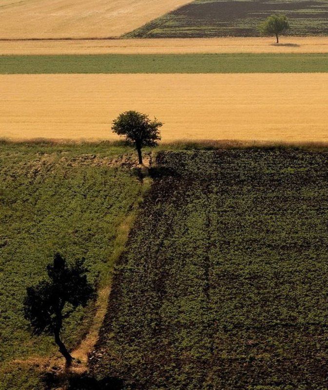 3 фото превью