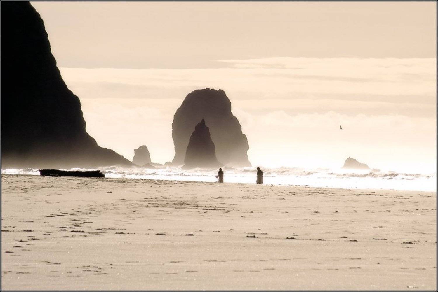 , Alexandre Michourovskii