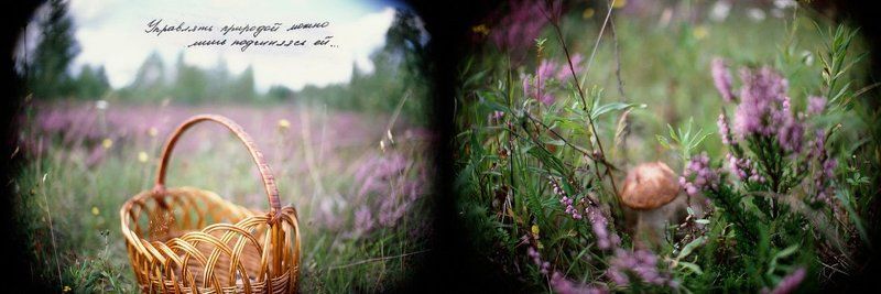 nature фото превью