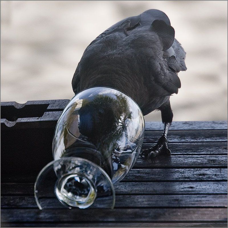 За Ваше здоровье фото превью