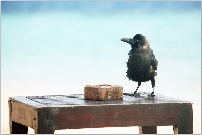 Индивидуальность фото превью