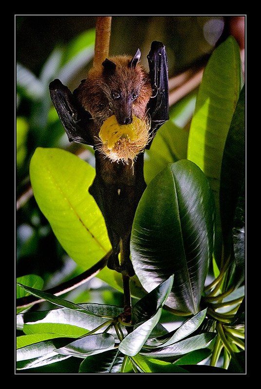 Артист фото превью