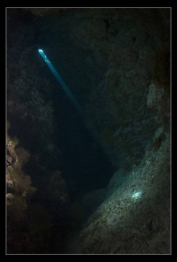 , Сергей Шанин