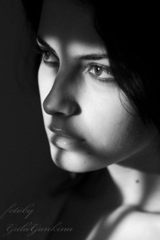 тени фото превью