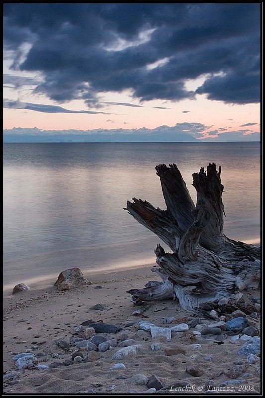 ольхон, байкал, коряга, небо, вода, озеро, фаниз, лена, ардисламов портрет коряги в рассветных  часах фото превью