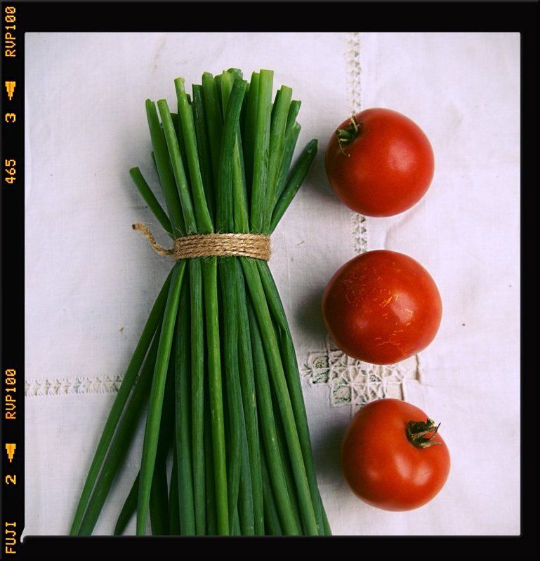 Красно-зеленый этюд фото превью