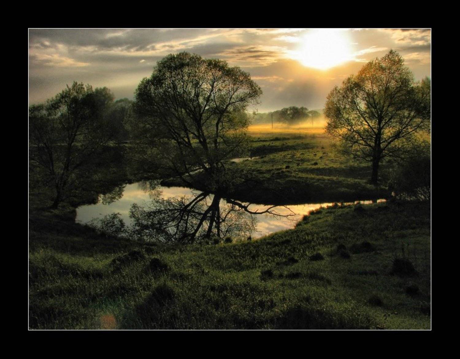 , Лунный Ежик