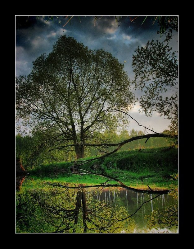 Отражение осени фото превью