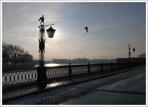 Зимний полдень