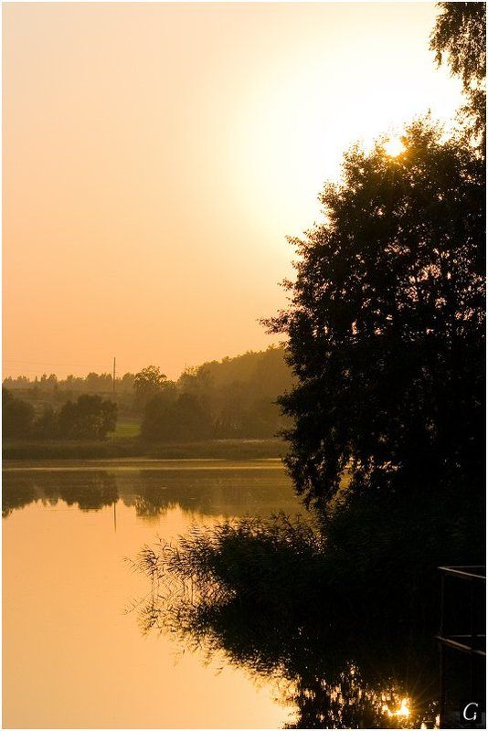 персиковые, тона, талашкино, свет, закат, пруд, дымка, солнце, вечер Этюд в персиковых тонах фото превью