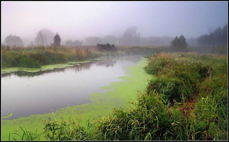 Август. Утро. фото превью