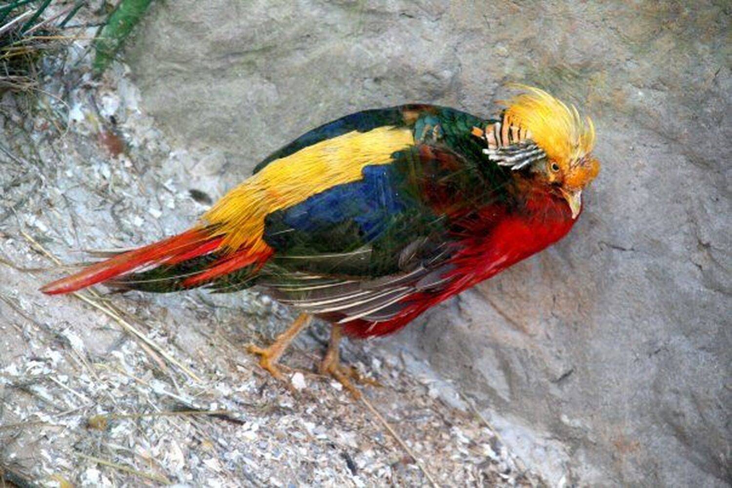 , Надежда Антропова