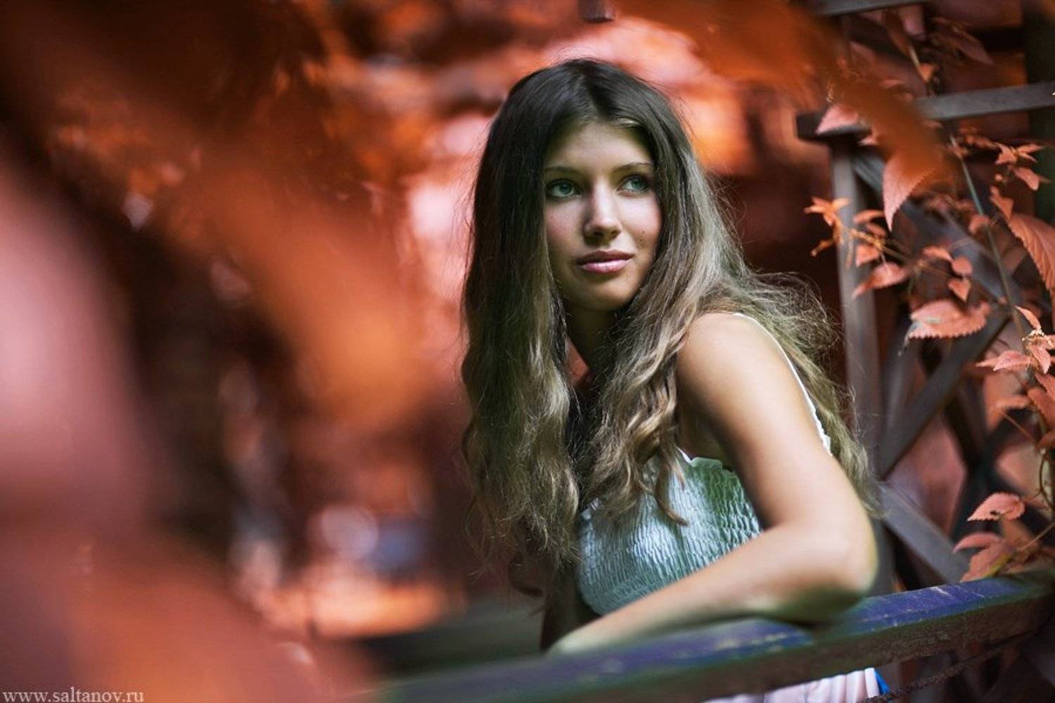 , Антон Салтанов