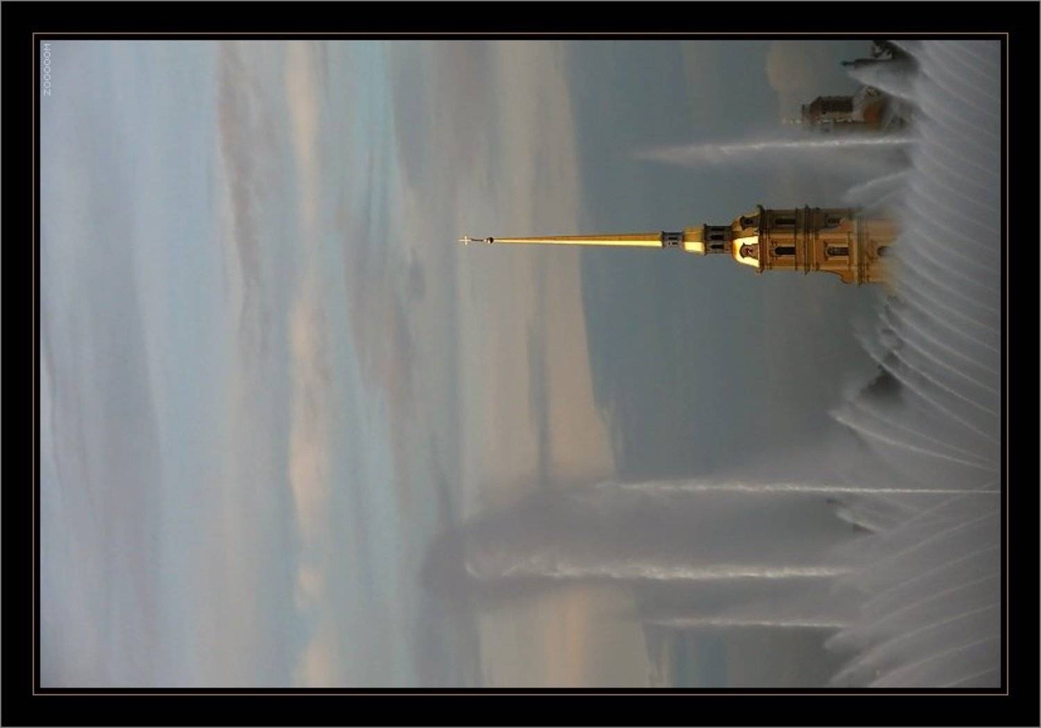 петербург, Алексей (zooooom)