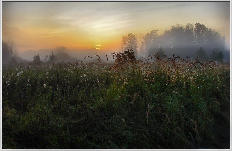 и было туманно ... фото превью