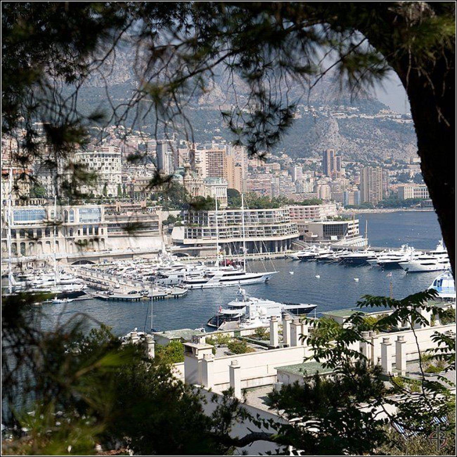 монако, Алексей Войницкий