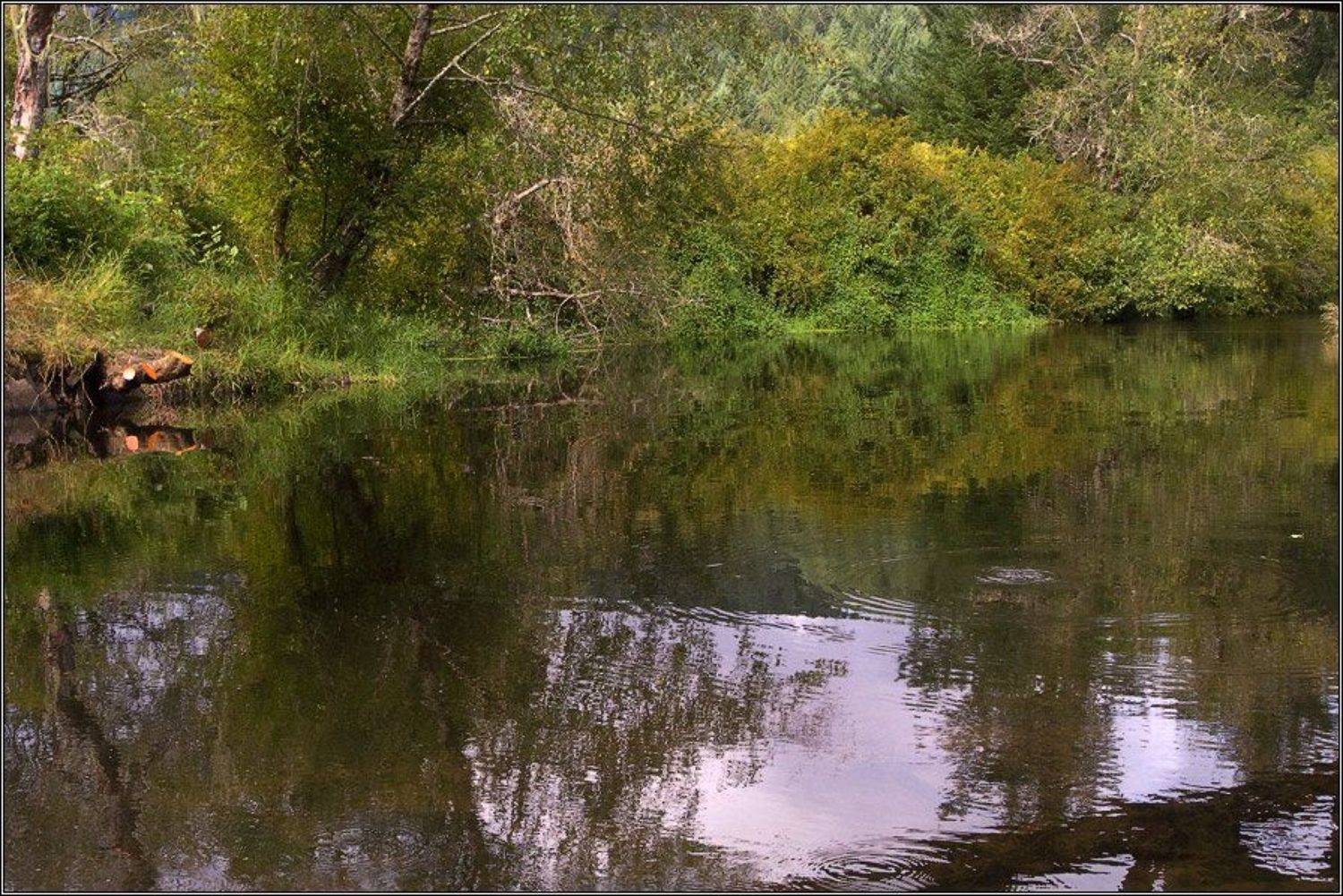 , Alexandre Michourovskii