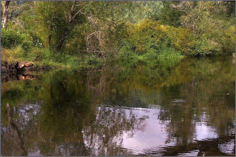 Тишина в полдень фото превью