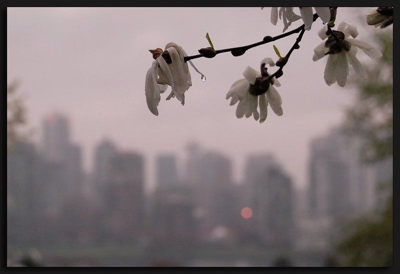 Что такое осень фото превью