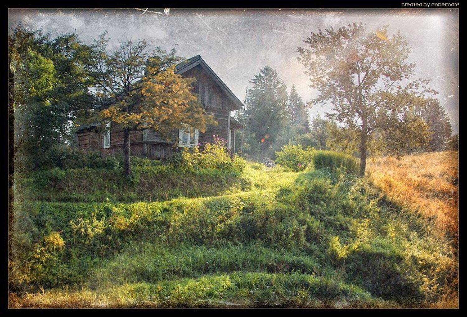 , Денис Богомолов