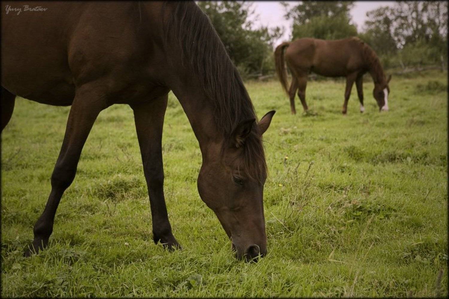 , Братаев Юра