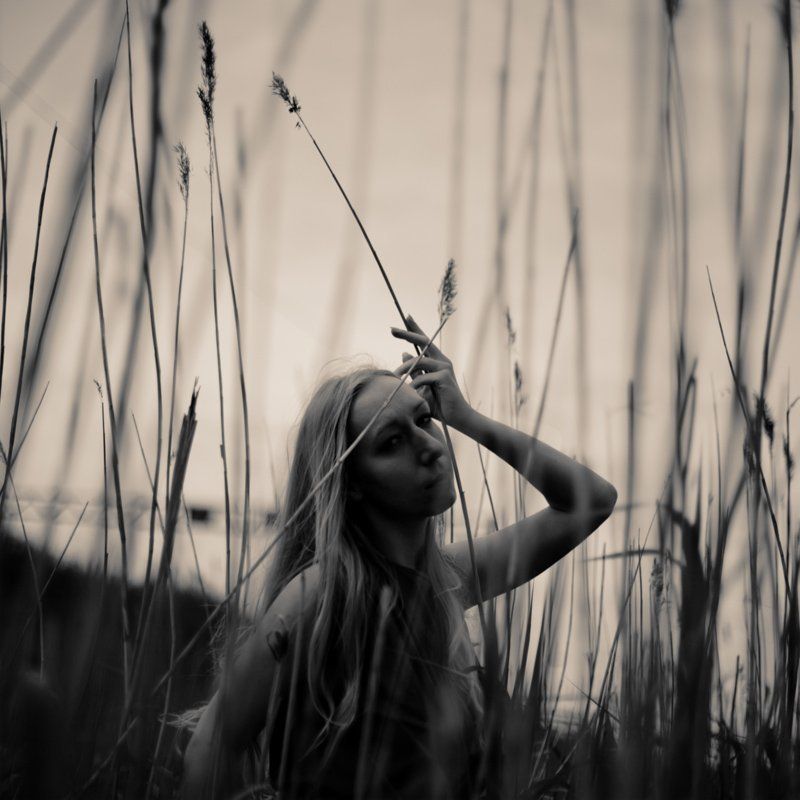 ..... фото превью