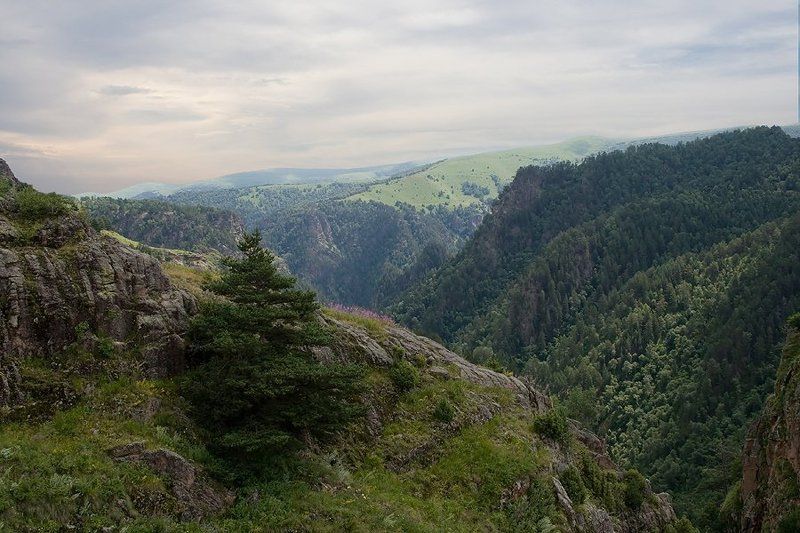 Кавказ фото превью