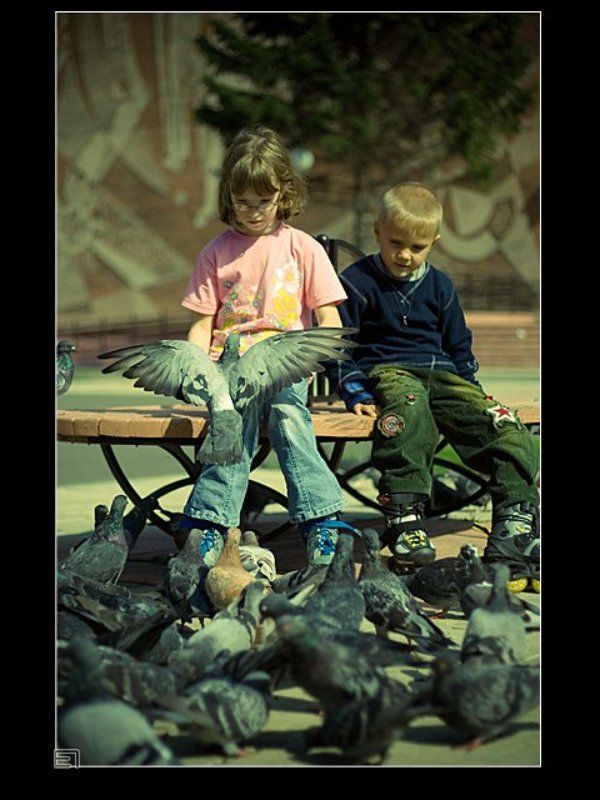 голуби, дети О голубях и детях... фото превью