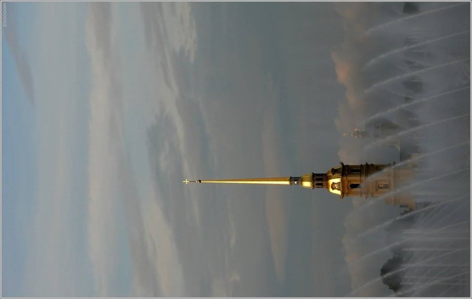 петербург, Алексей (zooooom)