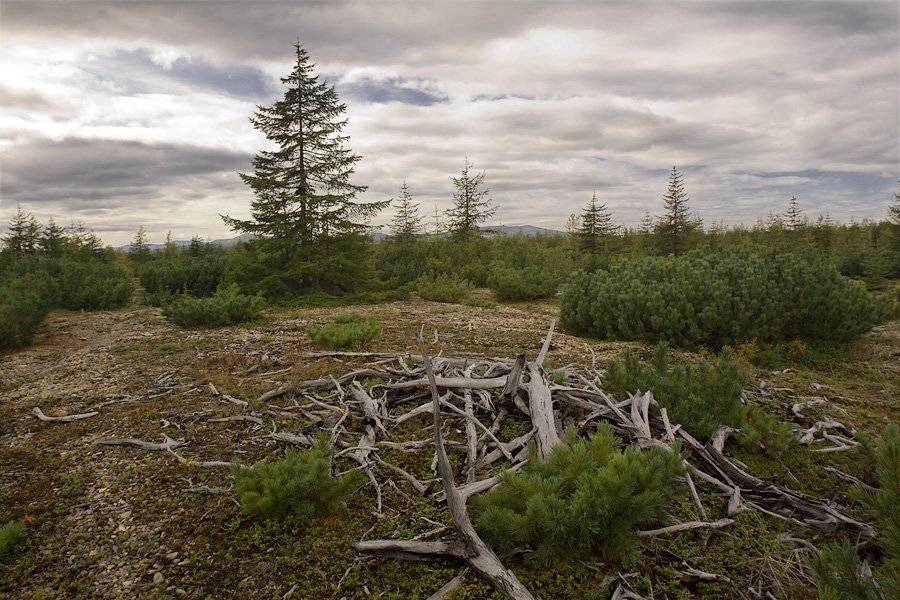 магадан, Sir Fisher