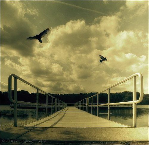 Небесные дороги....