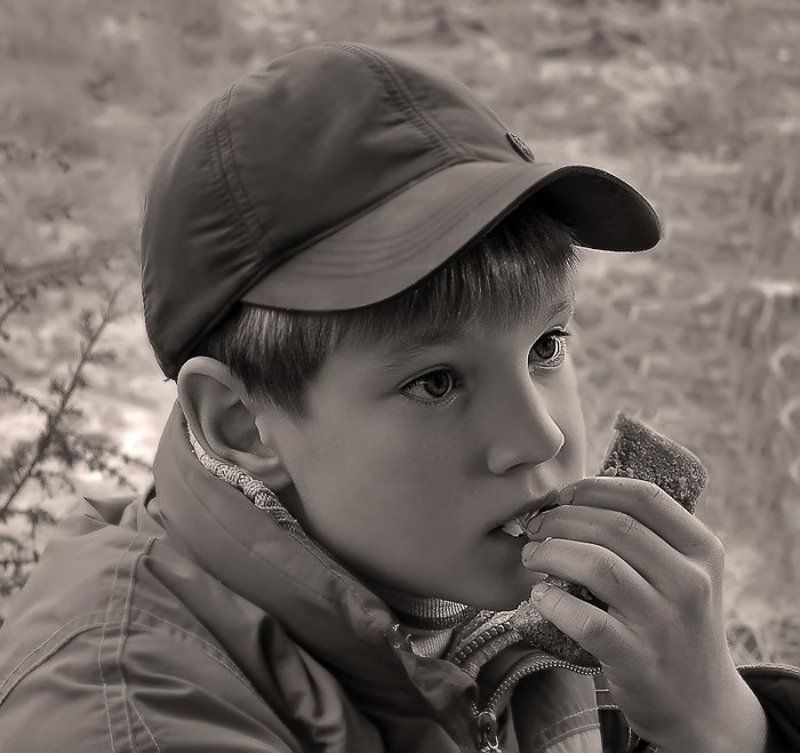 А Васька слушает , да ест ! фото превью