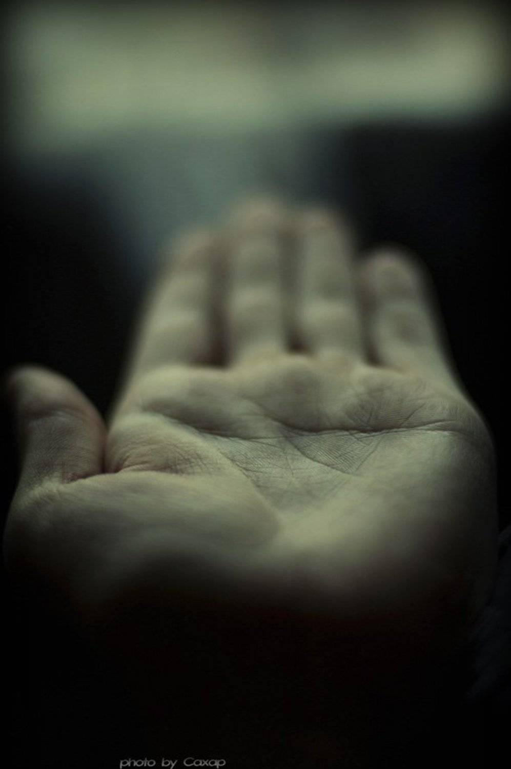 рука, Александр