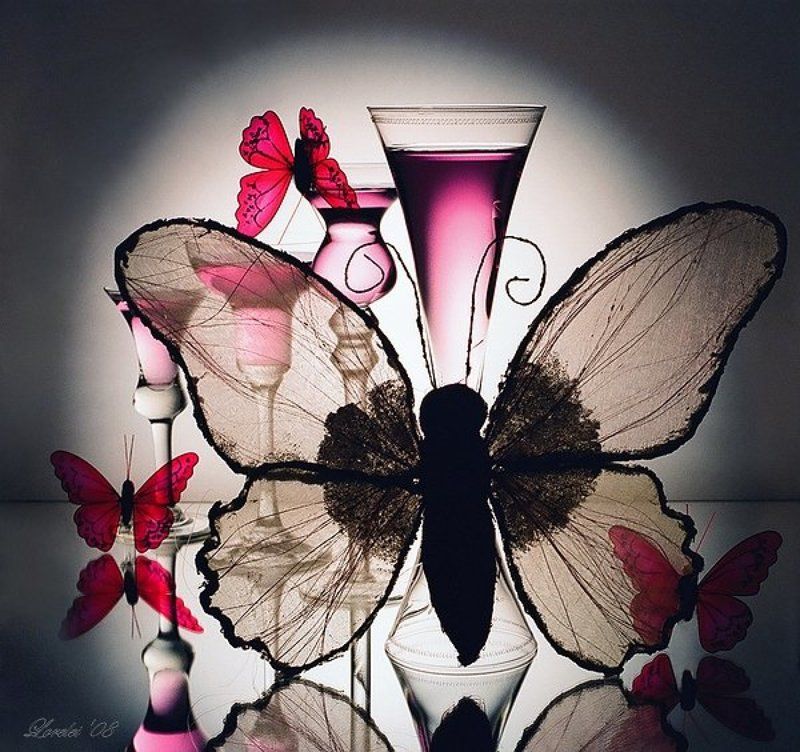 бобочки butterfly натюрморт фото Butterfly... фото превью