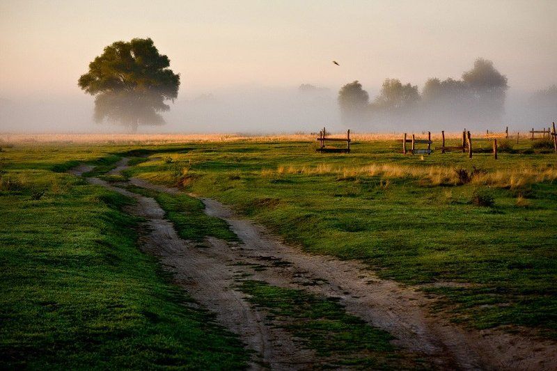 Украина моя, Украина... фото превью