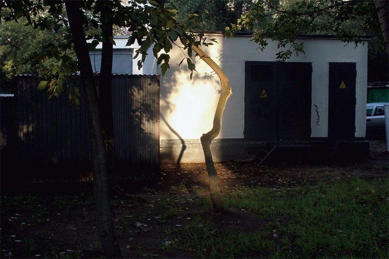 2008, цифра, цвет, город, дерево, тень, листва, city, tree, shadow без названия фото превью