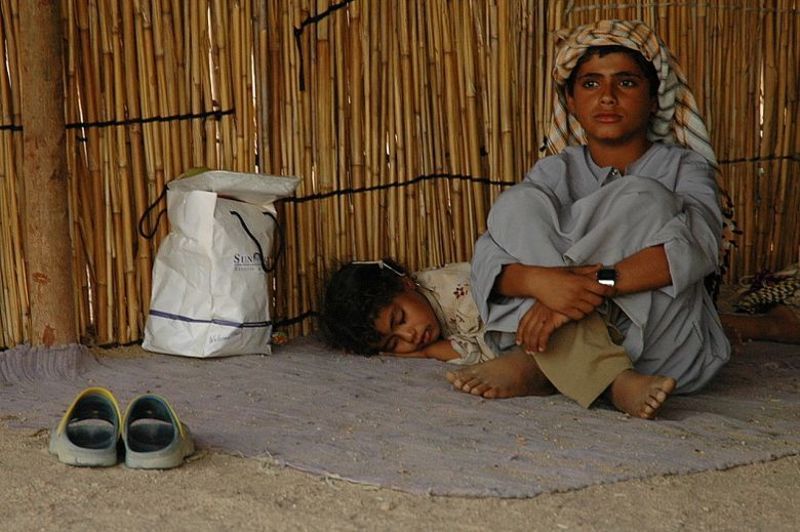 обитатели пустыни фото превью