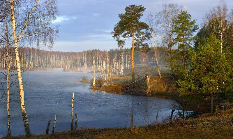 саврасово, озеро, утро, весна, лед, вода Саврасово просыпается фото превью