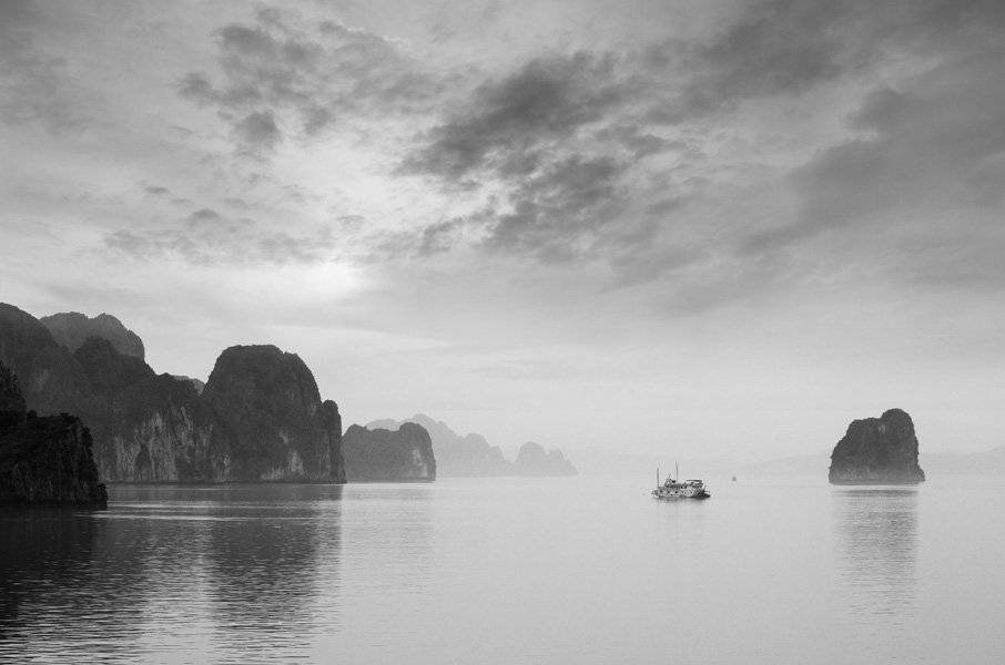 , Frank Dang