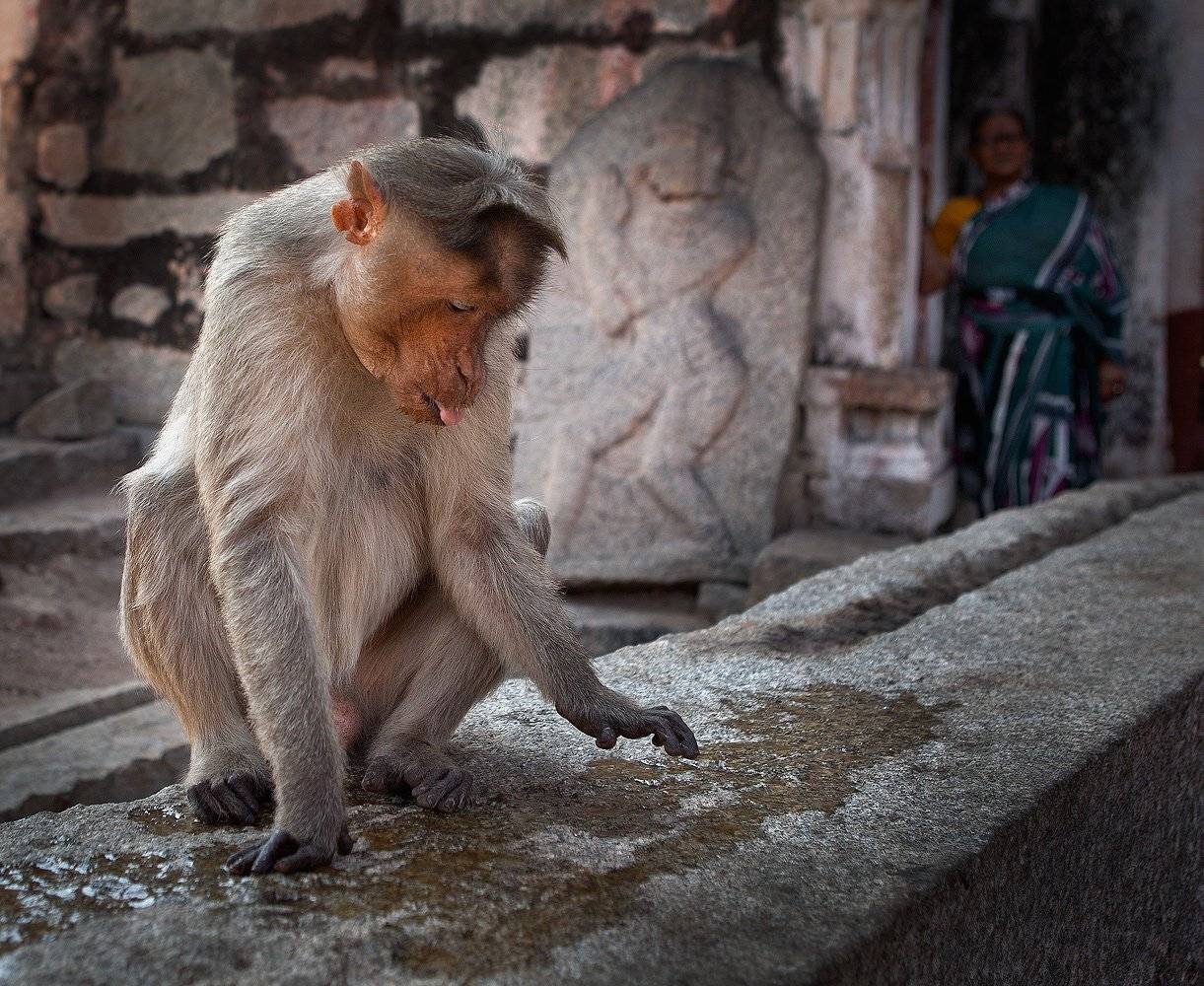 , Андрей Канышев