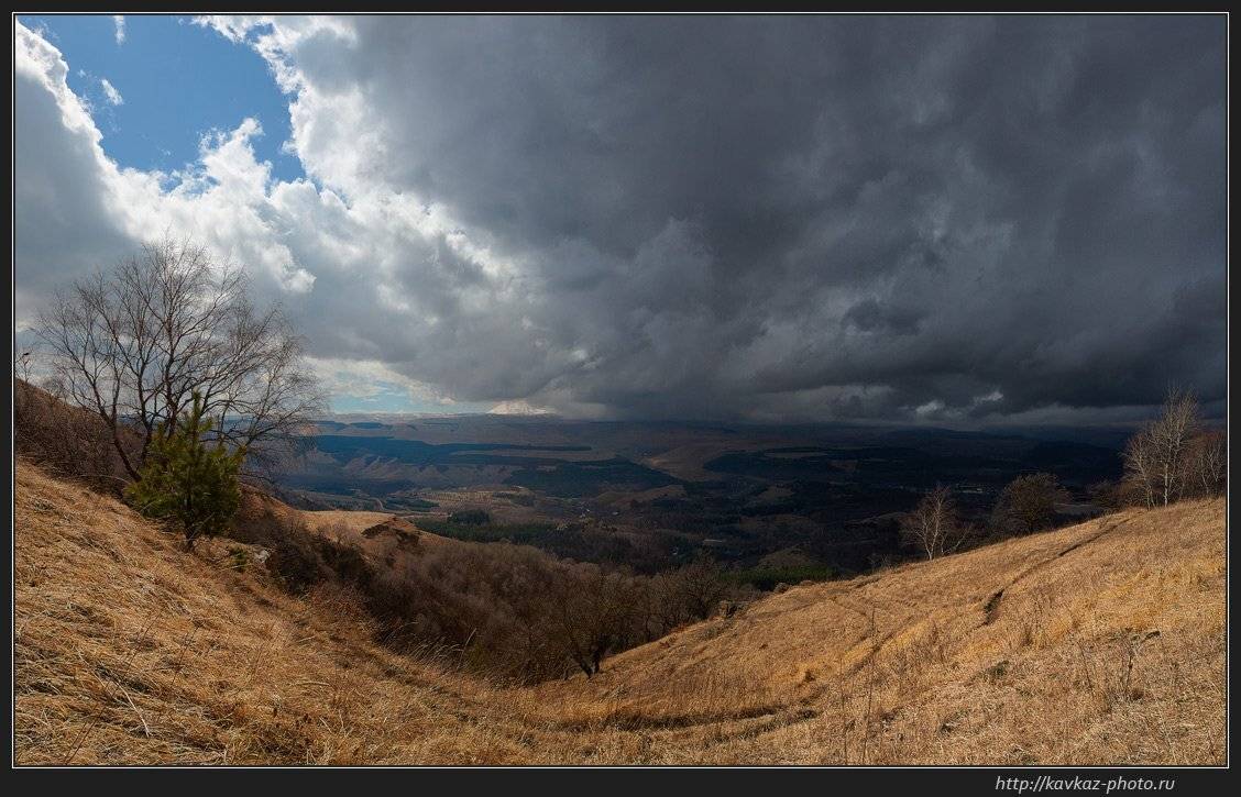 кисловодск, Николай Стюбко