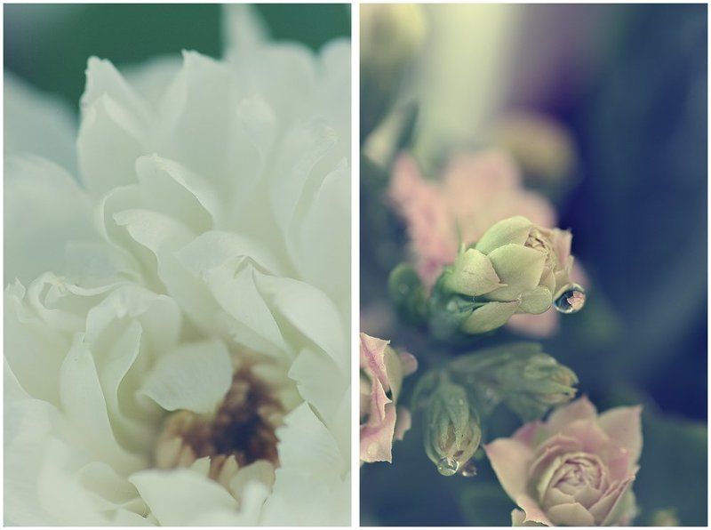 *** фото превью