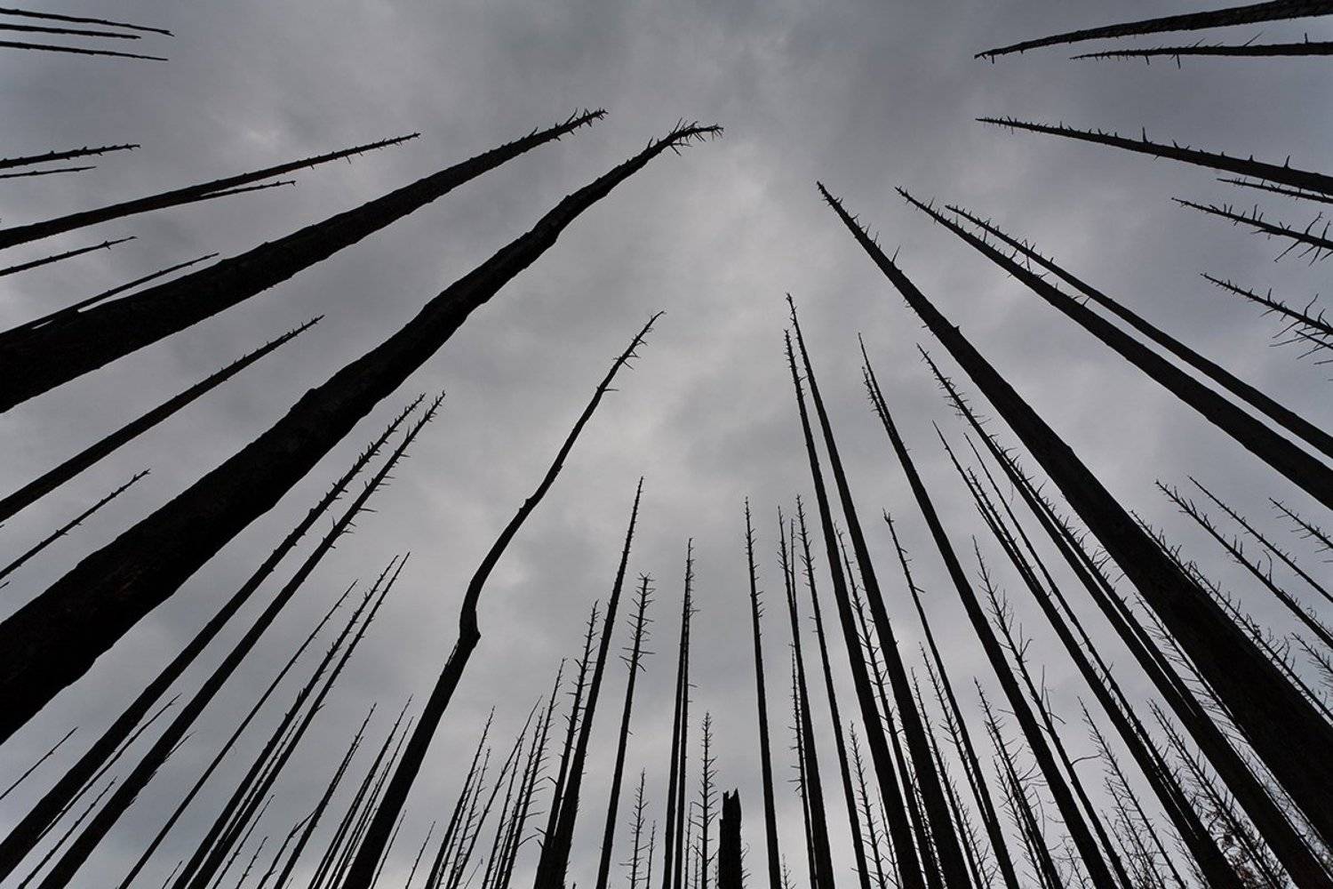 , Константин Миронов