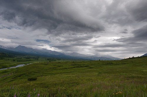 Хмурое лето Камчатки