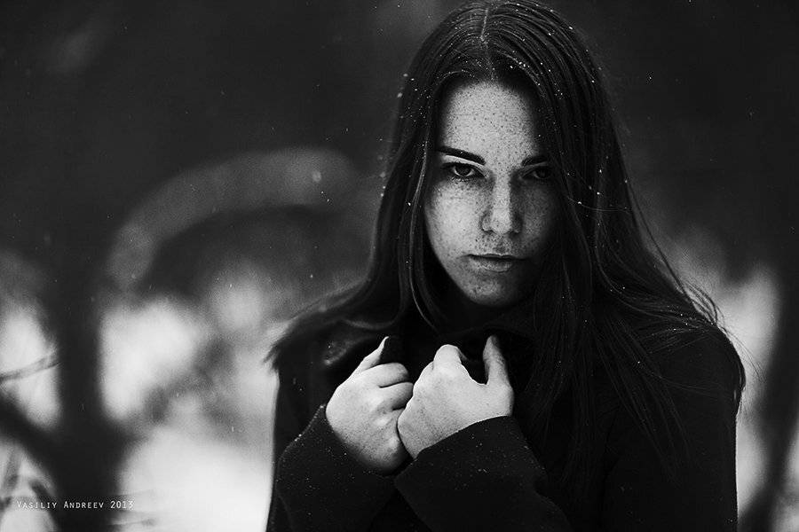 , Василий Андреев