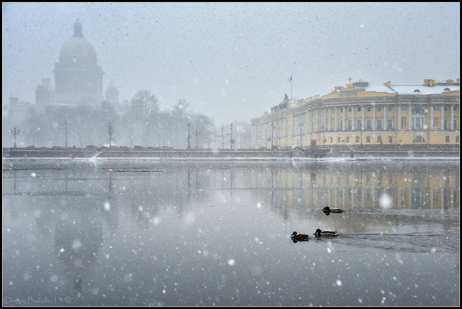 , Дмитрий Бакулин