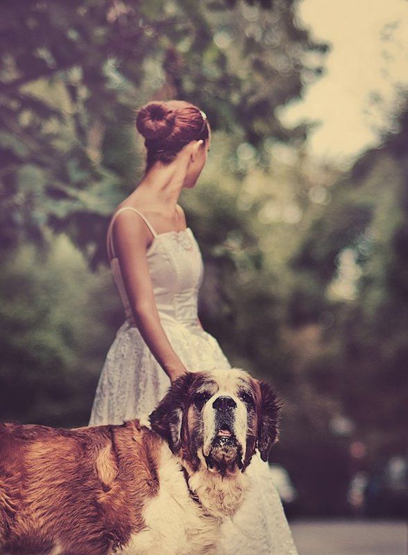 . фото превью